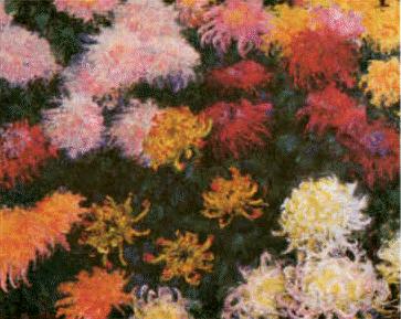 Claude Monet Chrysanthemums  sd oil painting image